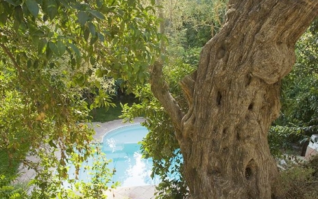 Los jardines disfrutan de buena privacidad