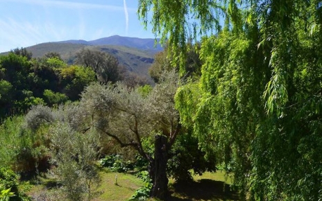 Jardines con césped