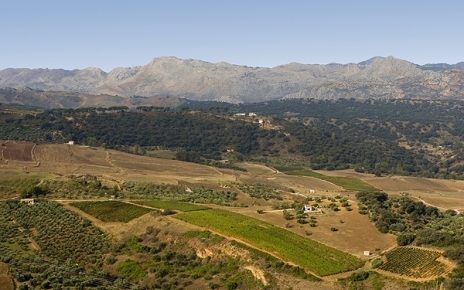 Views from Ronda town