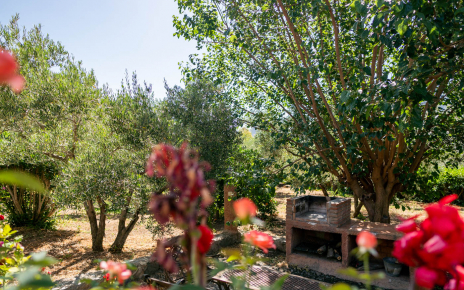 Barbacoa (su uso puede estar restringido)