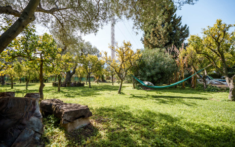 Ample private gardens