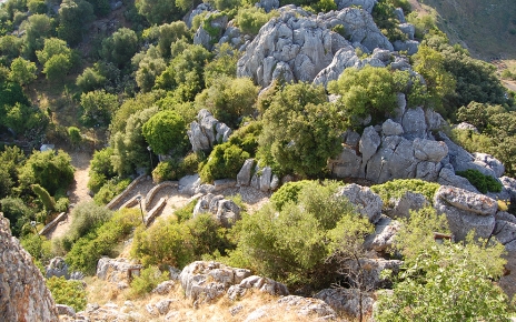 Walk up to the castle